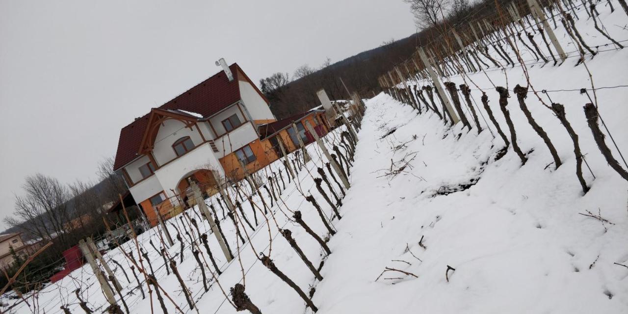 Villa Vinox Winery Vinica Exterior foto