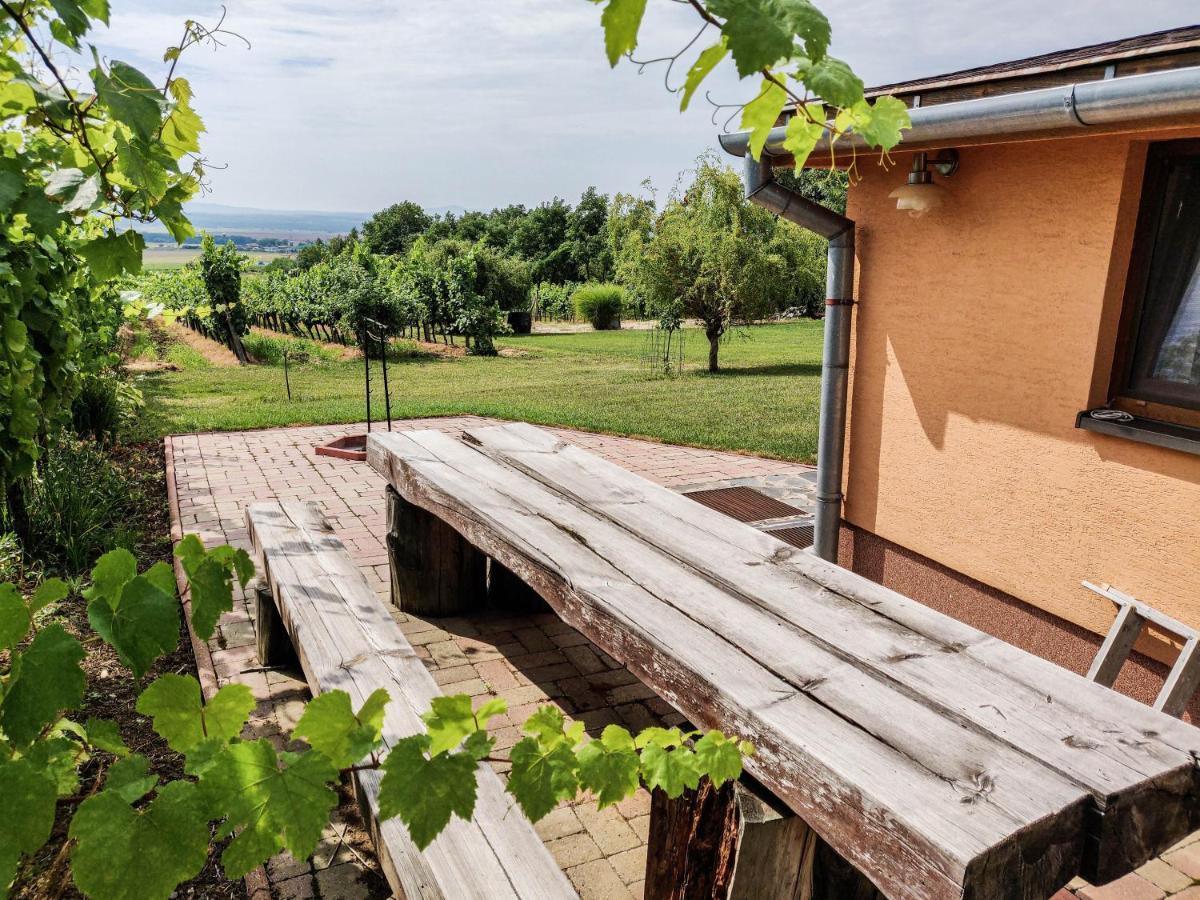 Villa Vinox Winery Vinica Exterior foto