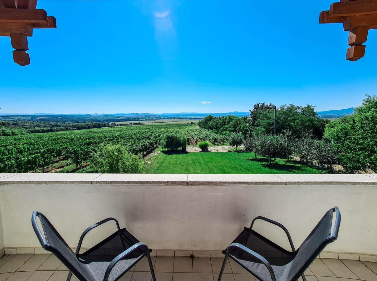 Villa Vinox Winery Vinica Exterior foto
